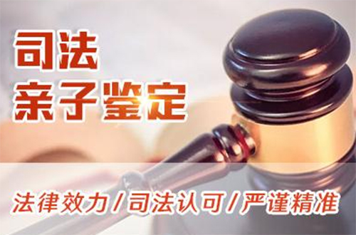 合肥司法DNA鉴定详细流程及材料,合肥司法亲子鉴定出结果时间