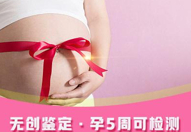 合肥怀孕亲子鉴定如何收费,